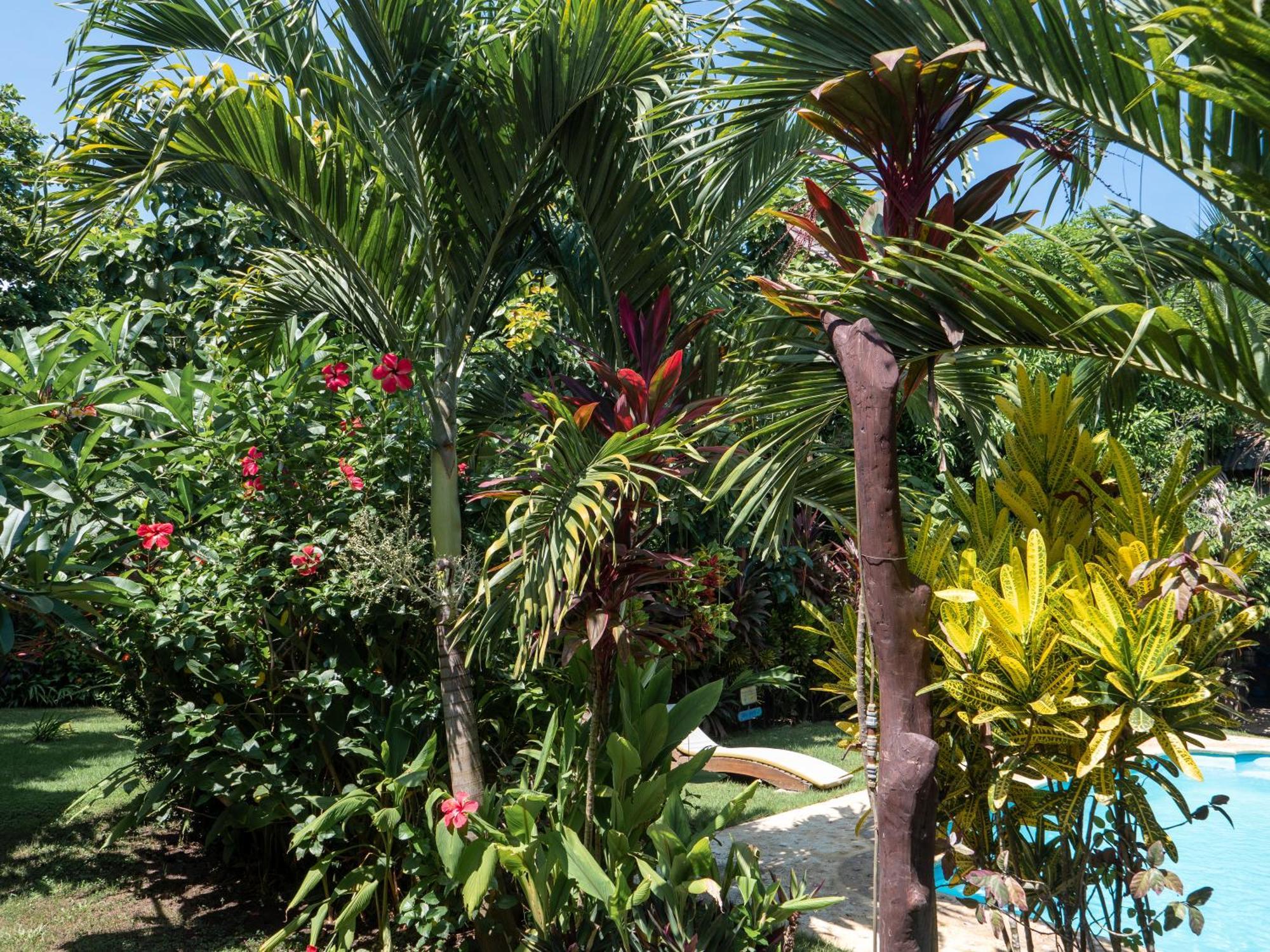 Nuba Boutique Hostel Palomino Exterior photo