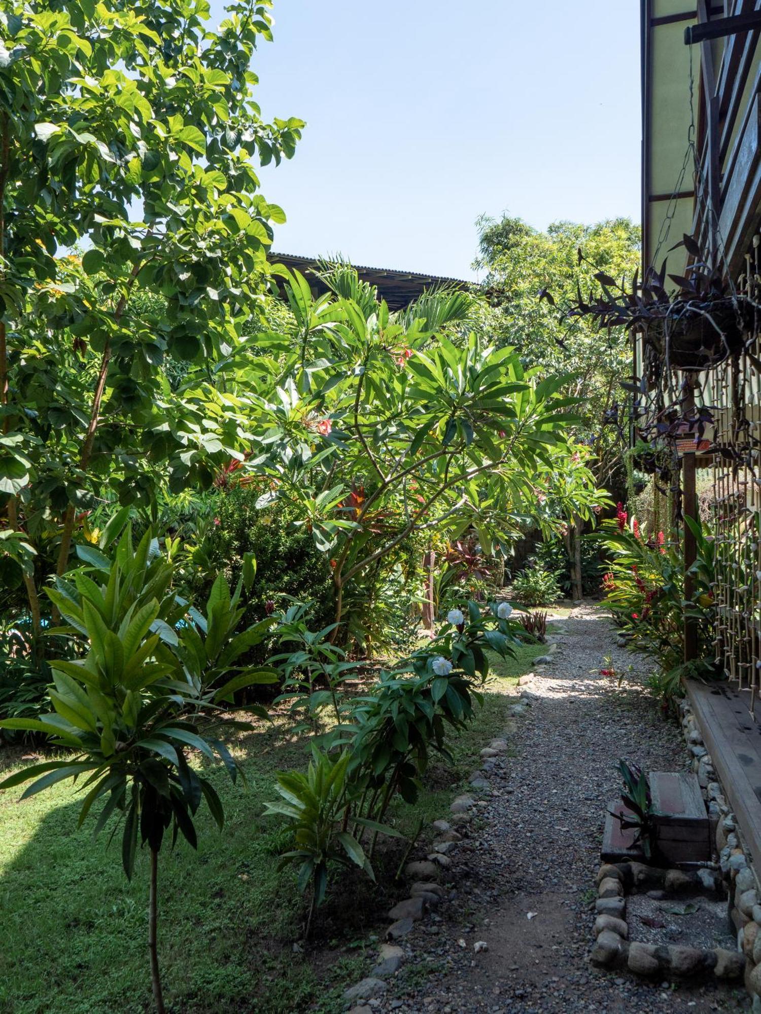 Nuba Boutique Hostel Palomino Exterior photo