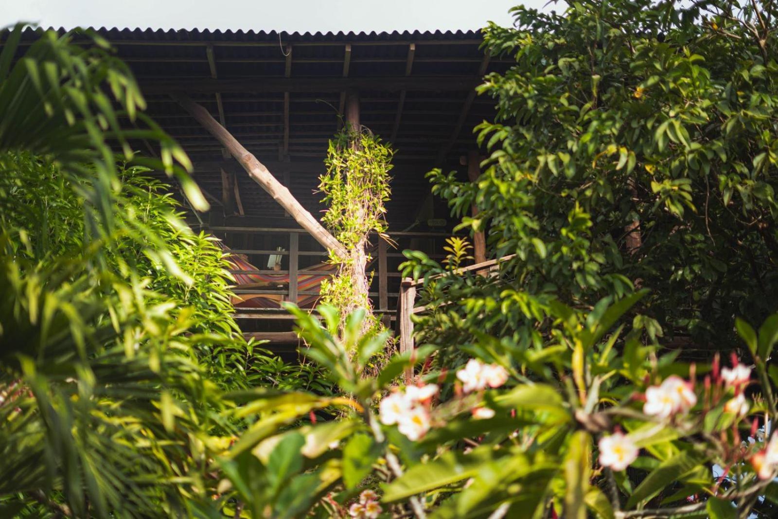 Nuba Boutique Hostel Palomino Exterior photo